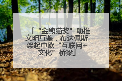 “金熊猫奖”助推文明互鉴，布达佩斯架起中欧“互联网+文化”桥梁