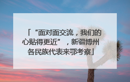 “面对面交流，我们的心贴得更近”，新疆博州各民族代表来鄂考察