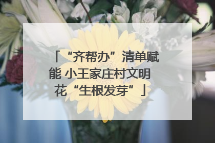 “齐帮办”清单赋能 小王家庄村文明花“生根发芽”