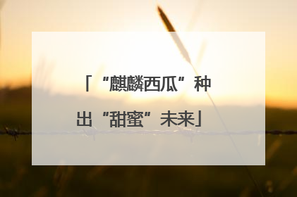 “麒麟西瓜”种出“甜蜜”未来