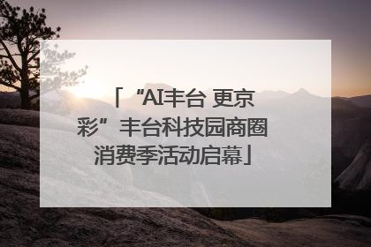 “AI丰台 更京彩”丰台科技园商圈消费季活动启幕
