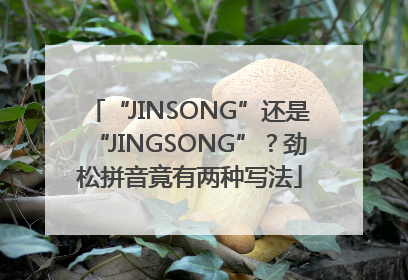 “JINSONG”还是“JINGSONG”？劲松拼音竟有两种写法