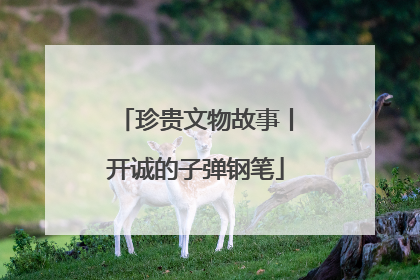 珍贵文物故事丨开诚的子弹钢笔