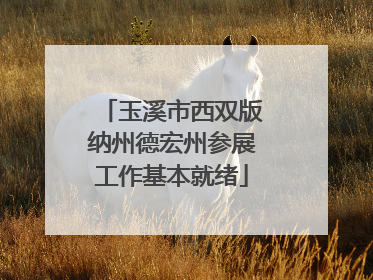 玉溪市西双版纳州德宏州参展工作基本就绪