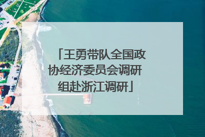 王勇带队全国政协经济委员会调研组赴浙江调研