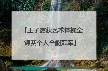 王子露获艺术体操全锦赛个人全能冠军