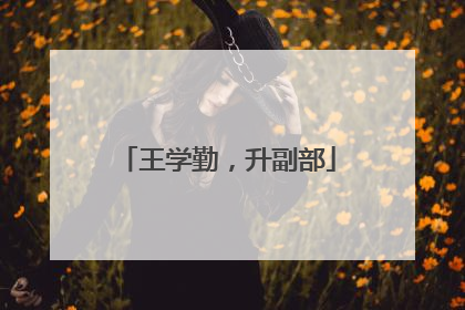 王学勤，升副部