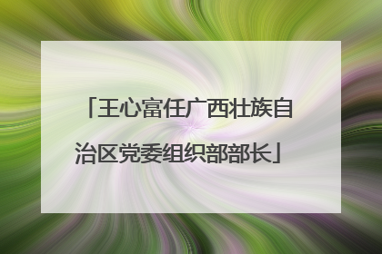王心富任广西壮族自治区党委组织部部长