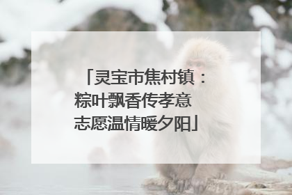 灵宝市焦村镇：粽叶飘香传孝意 志愿温情暖夕阳