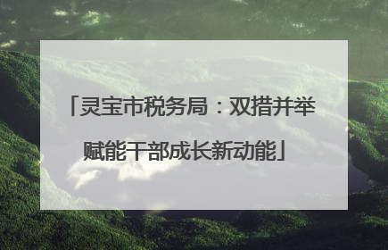 灵宝市税务局：双措并举 赋能干部成长新动能