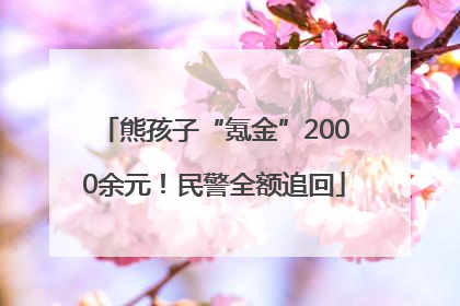 熊孩子“氪金”2000余元！民警全额追回