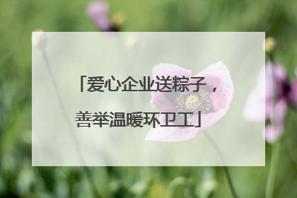 爱心企业送粽子，善举温暖环卫工