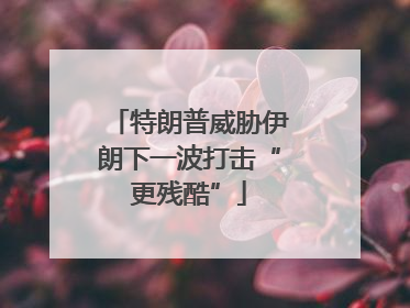 特朗普威胁伊朗下一波打击“更残酷”