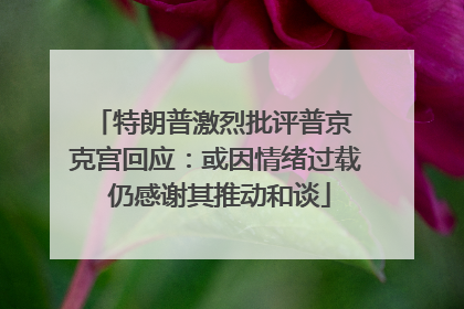 特朗普激烈批评普京 克宫回应：或因情绪过载 仍感谢其推动和谈