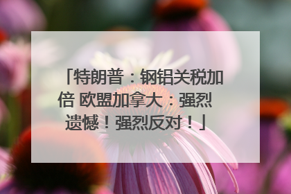 特朗普：钢铝关税加倍 欧盟加拿大：强烈遗憾！强烈反对！