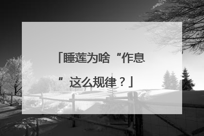 睡莲为啥“作息”这么规律？