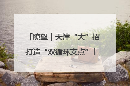 瞭望｜天津“大”招打造“双循环支点”
