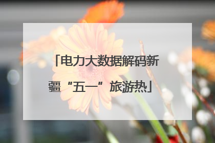 电力大数据解码新疆“五一”旅游热