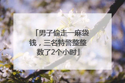 男子偷走一麻袋钱，三名特警整整数了2个小时