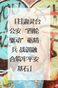 甘肃灵台公安“四轮驱动”砺精兵 战训融合筑牢平安基石