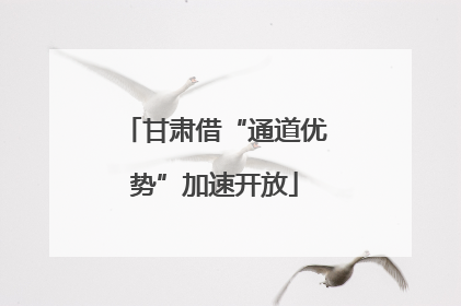 甘肃借“通道优势”加速开放