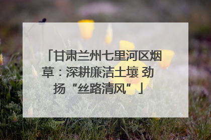甘肃兰州七里河区烟草：深耕廉洁土壤 劲扬“丝路清风”
