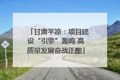 甘肃平凉：项目建设“引擎”轰鸣 高质量发展奋战正酣