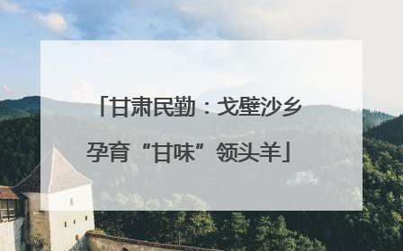 甘肃民勤：戈壁沙乡孕育“甘味”领头羊