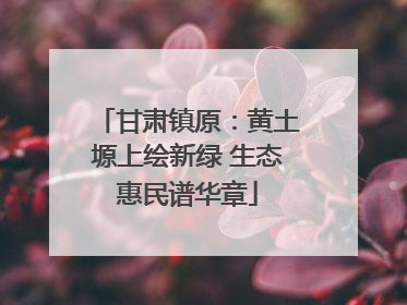 甘肃镇原：黄土塬上绘新绿 生态惠民谱华章