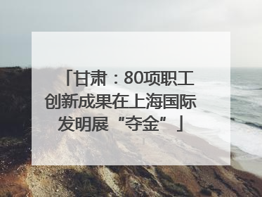 甘肃：80项职工创新成果在上海国际发明展“夺金”