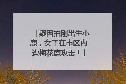 疑因拍刚出生小鹿，女子在市区内遭梅花鹿攻击！