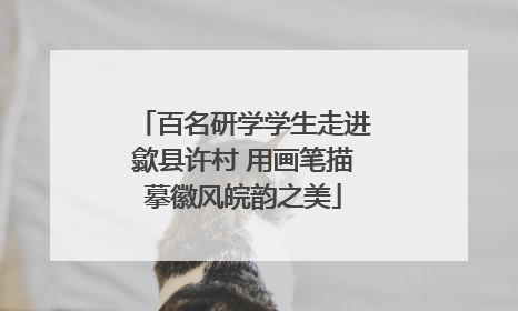 百名研学学生走进歙县许村 用画笔描摹徽风皖韵之美