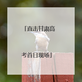 直击甘肃高考首日现场