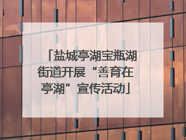 盐城亭湖宝瓶湖街道开展“善育在亭湖”宣传活动