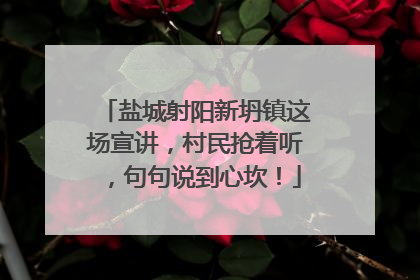 盐城射阳新坍镇这场宣讲，村民抢着听，句句说到心坎！
