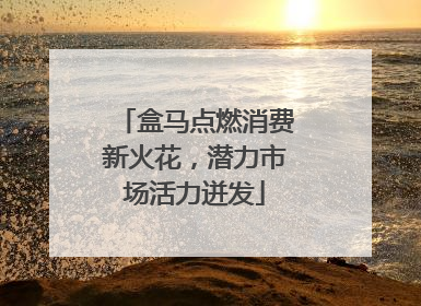盒马点燃消费新火花，潜力市场活力迸发