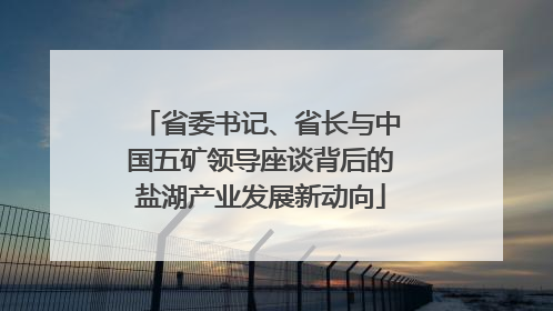 省委书记、省长与中国五矿领导座谈背后的盐湖产业发展新动向