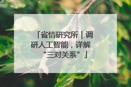 省情研究所｜调研人工智能，详解“三对关系”