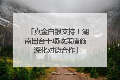 真金白银支持！湖南出台十项政策措施深化对德合作
