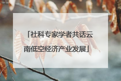 社科专家学者共话云南低空经济产业发展