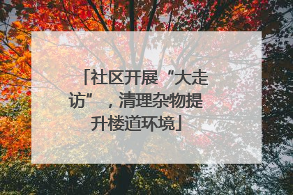 社区开展“大走访”，清理杂物提升楼道环境