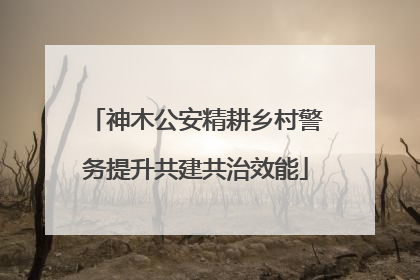 神木公安精耕乡村警务提升共建共治效能