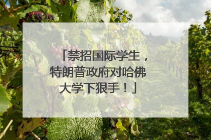 禁招国际学生，特朗普政府对哈佛大学下狠手！