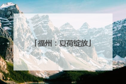 福州：夏荷绽放