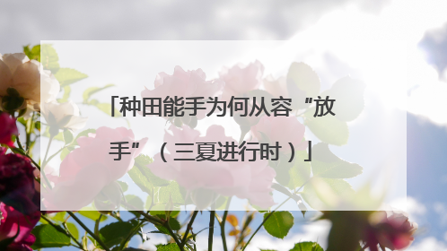 种田能手为何从容“放手”（三夏进行时）