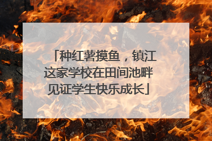 种红薯摸鱼，镇江这家学校在田间池畔见证学生快乐成长