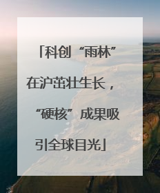 科创“雨林”在沪茁壮生长，“硬核”成果吸引全球目光