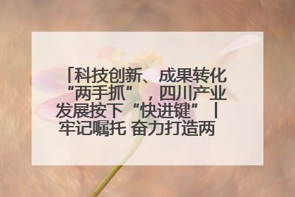 科技创新、成果转化“两手抓”，四川产业发展按下“快进键”丨牢记嘱托 奋力打造两高地两基地一屏障