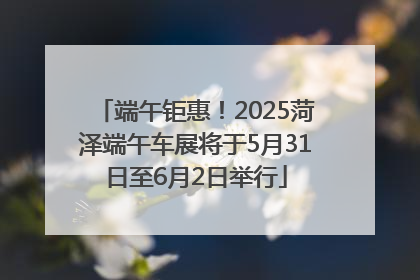 端午钜惠！2025菏泽端午车展将于5月31日至6月2日举行