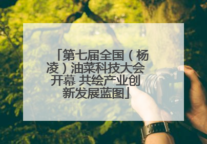 第七届全国（杨凌）油菜科技大会开幕 共绘产业创新发展蓝图